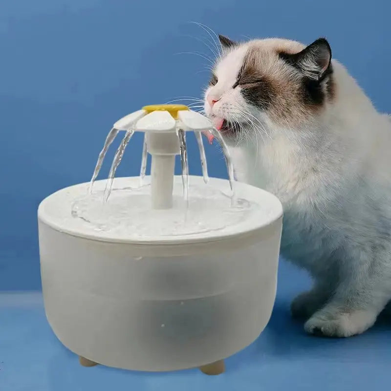 Fontanella d'Acqua Automatica in Acciaio con Filtro | Zampamondo
