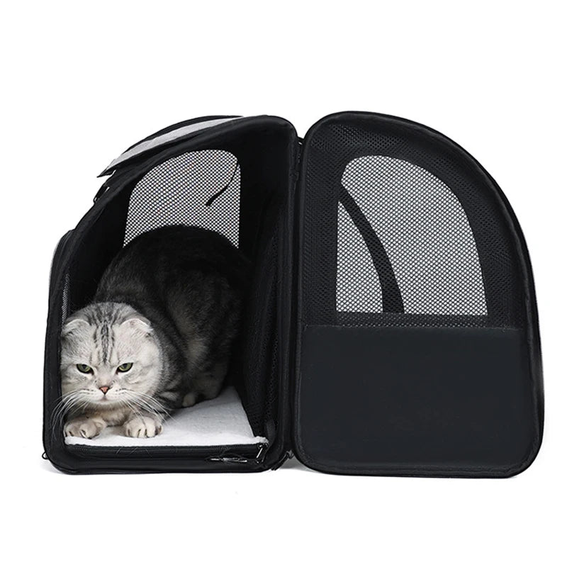 Zaino Trasportino Estendibile per Cani e Gatti con Parasole | Zampamondo