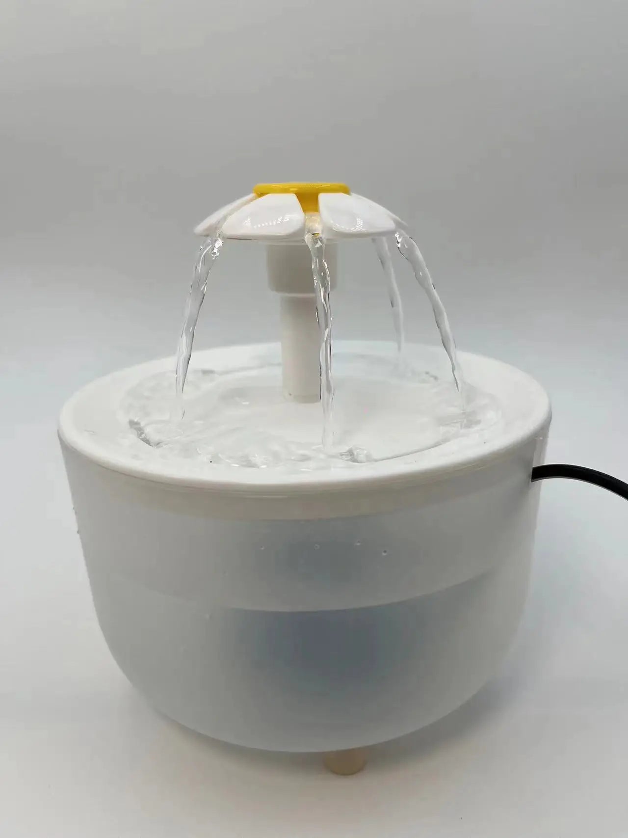Fontanella d'Acqua Automatica in Acciaio con Filtro | Zampamondo