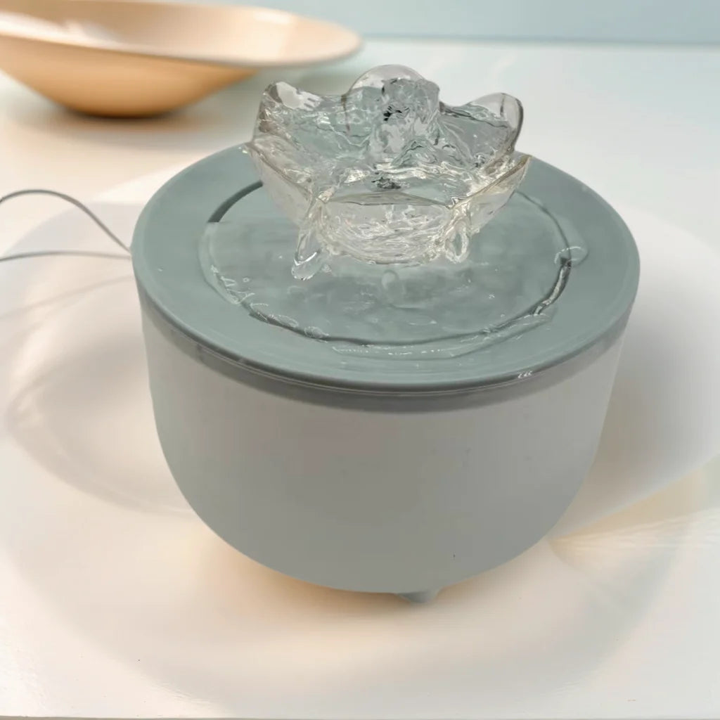 Fontanella d'Acqua Automatica in Acciaio con Filtro | Zampamondo